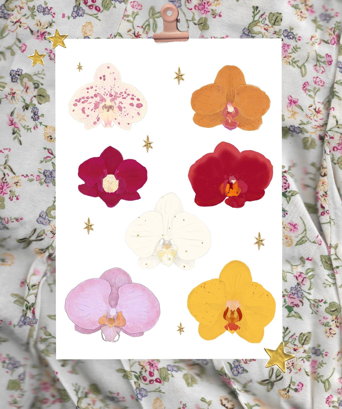 Orchids sticker sheet